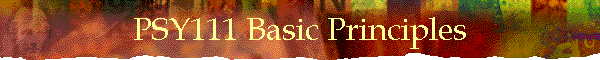 PSY111 Basic Principles