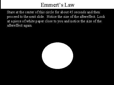 Law and Legal,About,Tax Law,immigration,The Common Law,The Court